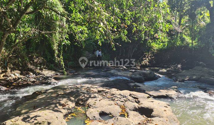 Dijual Tropical Villa Kedungu View Sawah Dan Sungai 2