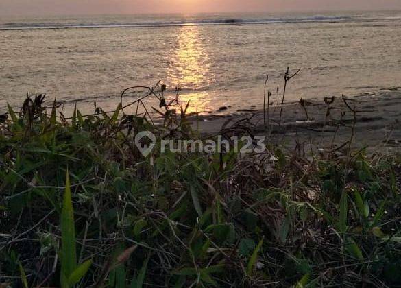 Dijual Tanah Langsung Pantai Sumba 1