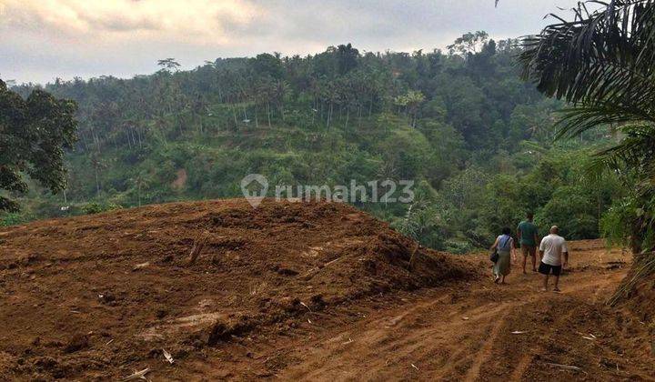 Dijual Tanah 38 Are Daerah Sebatu Tegalalang 1