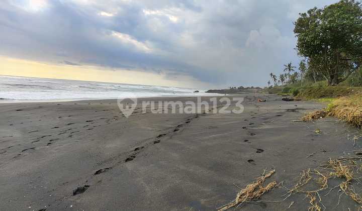 Dijual Tanah 32 Ha Langsung Pantai