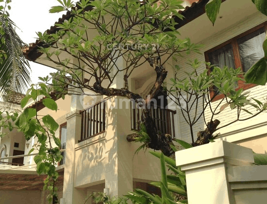 Rumah Tropical Modern di Bintaro Jaya 8375