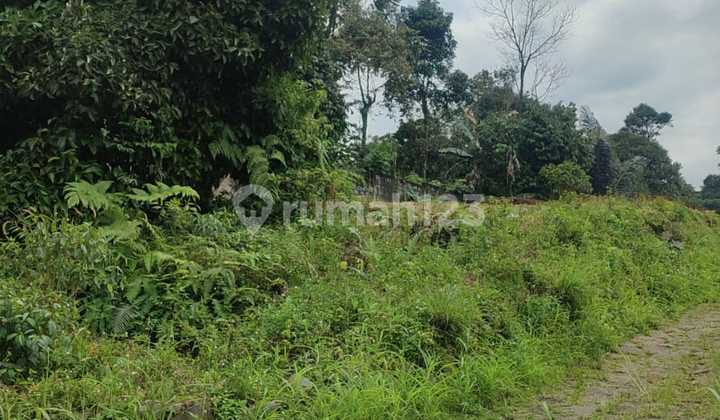 Dijual Tanah Harga Bagus Di Cijayanti Sentul Bogor