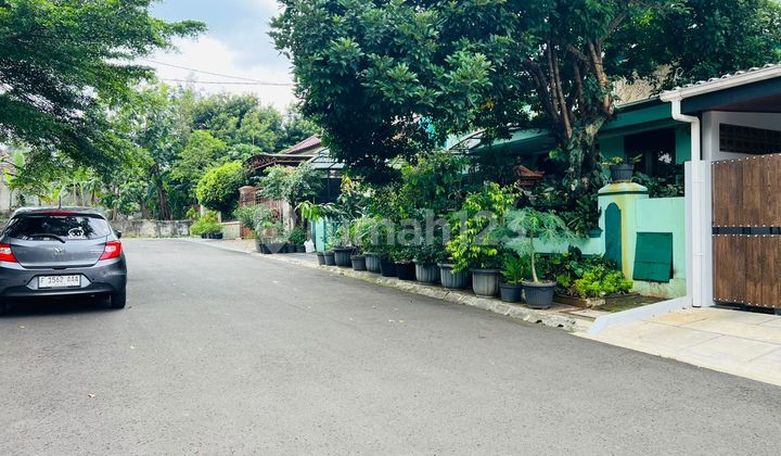 Rumah Baru Renovasi Dalam Cluster Rafflesia Di Taman Yasmin  2