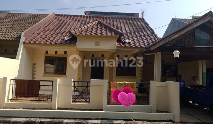 Dijual Rumah Baru Renovasi Di Taman Yasmin Dekat Stasiun Dijual Rumah Baru Renovasi Di Taman Yasmin Dekat Stasiun