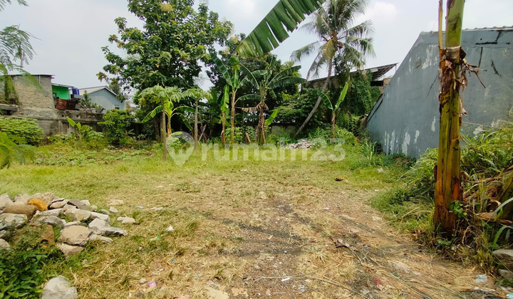 Tanah Bagus Cocok Buat Kos Dekat Kampus Dekat Unpak 7 Jutaan