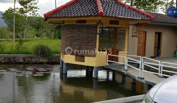 Rumah villa dan kebun  view gunung di Garut 1