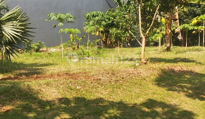 Dijual Kavling Lotus Palace Lt. 768 Di Pik