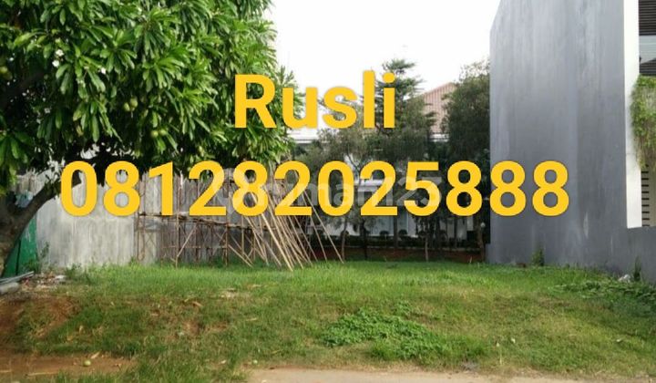 For Sale Lotus Palace Plot 450 M² In PIK