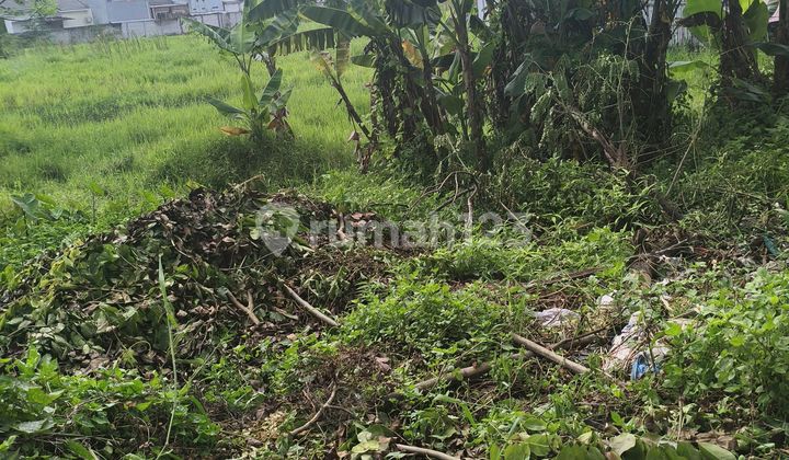 Jual Lahan Komersil Sepatan Lokasi Strategis