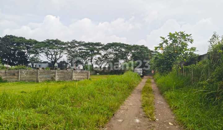 For Sale Fast 8Ha Commercial Land in Sawangan Depok For Sale Fast 8Ha Commercial Land in Sawangan Depok
