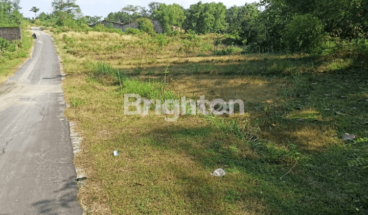 TANAH KERING DI JERUKSAWIT MOJOSONGO KARANGANYAR GONDANGREJO JAWA TENGAH 1