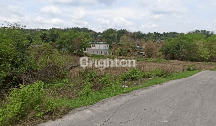 TANAH KERING DI JERUKSAWIT MOJOSONGO KARANGANYAR GONDANGREJO JAWA TENGAH 2