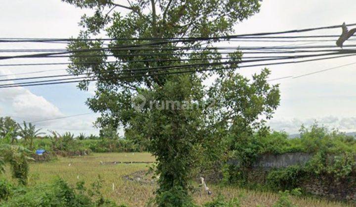 Tanah Zona Kuning Depan Bandara Air Port Lombok Tengah 2