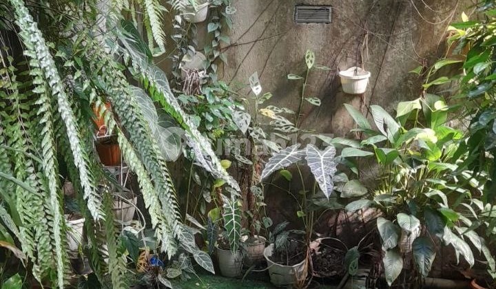 Dijual Rumah Dekat Tol Kukusan Beji Depok 2