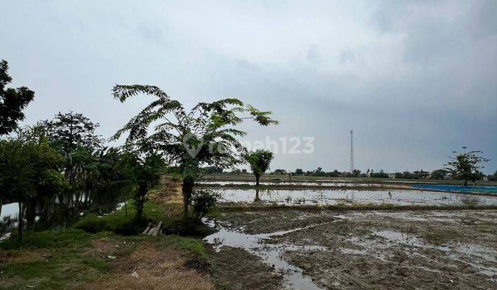 Tanah Di Sukatani Cikarang Cocok Untuk Cluster Rumah 2