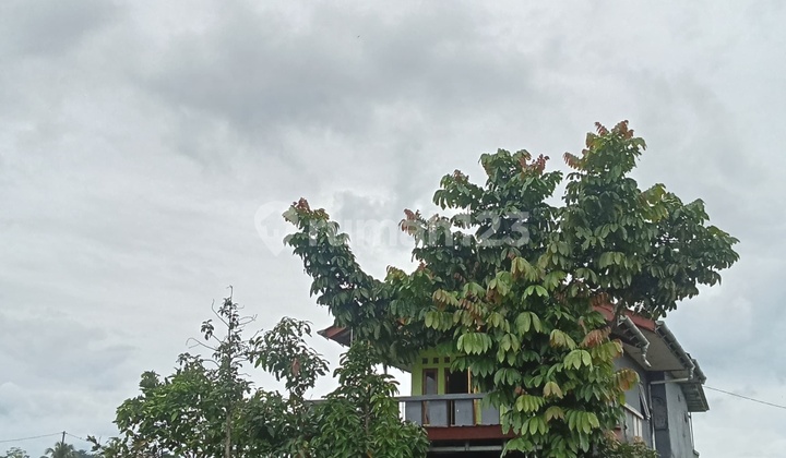 Di Jual Rumah Kampung Tengah Sawah Dramaga Kabupaten Bogor 2