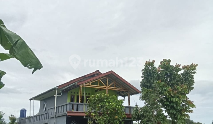 Di Jual Rumah Kampung Tengah Sawah Dramaga Kabupaten Bogor Di Jual Rumah Kampung Tengah Sawah Dramaga Kabupaten Bogor