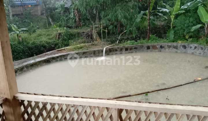 For Sale House with Rice Field & Mountain View in Sukamulya, Sukamakmur Subdistrict, Bogor Regency 2