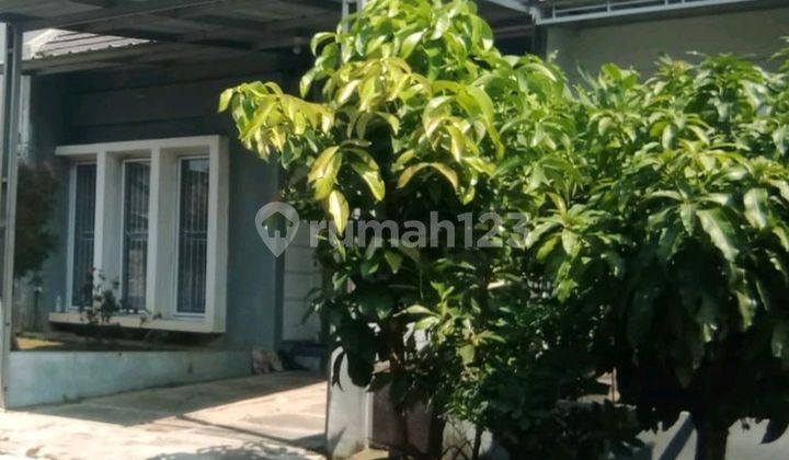 Di Jual Rumah di Cluster Bougenville Cilebut Kabupaten Bogor 2