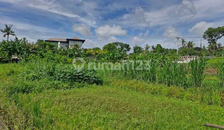 Tanah Jl. Prof Ida Bagus Mantra Bali - Nego Tipis Tanah Jl. Prof Ida Bagus Mantra Bali - Nego Tipis