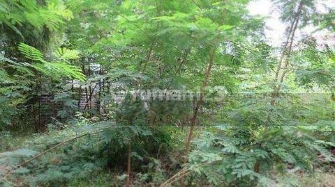 Cocok untuk dibangun rumah eksklusif atau untuk investasi. Cocok untuk dibangun rumah eksklusif atau untuk investasi.