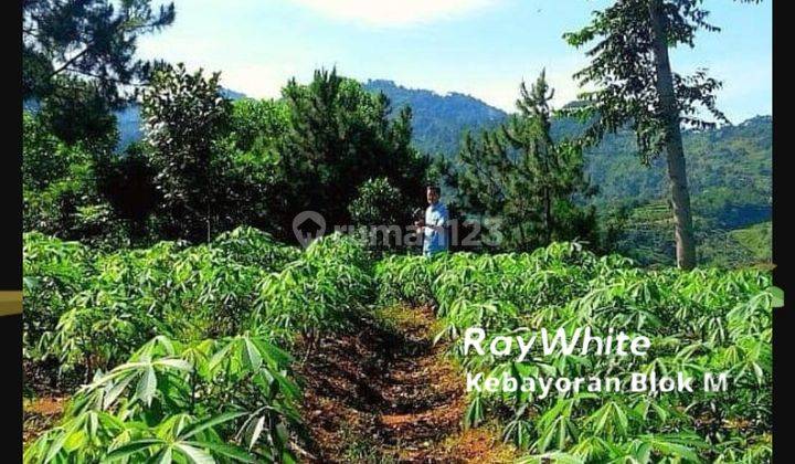 Tanah Di Bojong Koneng Kilometer Nol Gowes, Cocok Untuk Budidaya Pertanian  Maupun Untuk Vila Dan Cafe 2