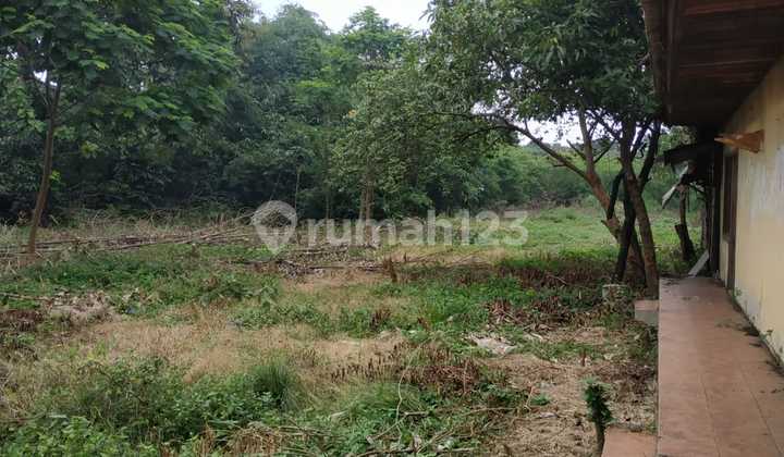 #SUPERMURAH Dijual Tanah Kavling Luas #HARGADEKATNJOP di Lokasi Super Strategis Jalan Alternatif Cibubur dekat Kota Wisata