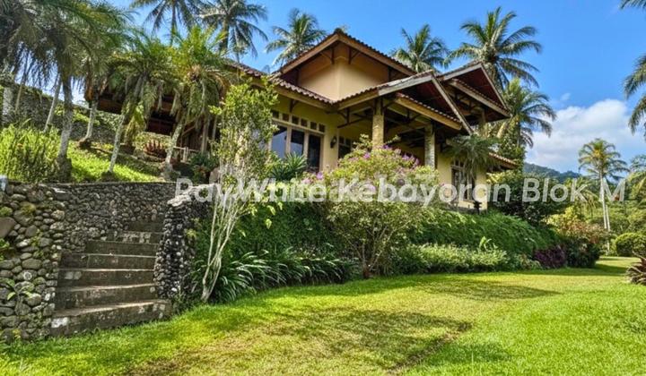 Sold Below NJOP Beautiful Villa with Super Large Garden Land Near Curug Cilember Tourist Attraction, Cisarua