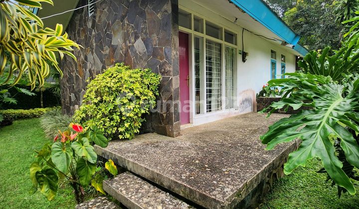 Tanah Kebun di Lokasi Strategis Cisarua Dekat Taman Safari Indonesia Tanah Kebun di Lokasi Strategis Cisarua Dekat Taman Safari Indonesia