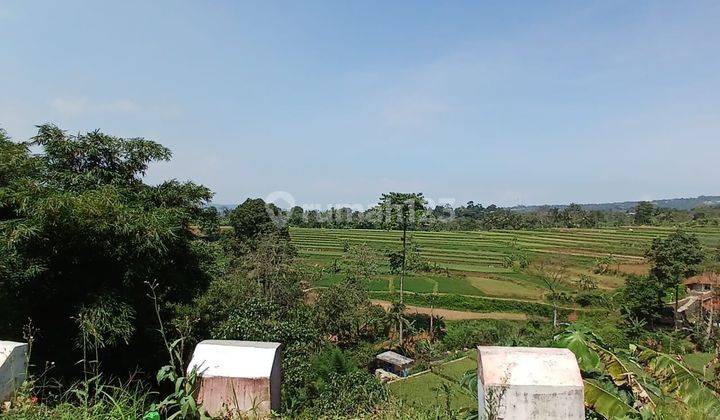 Dijual Lahan Kebun Aneka Pepohonan Buah Dengan Pemandangan Super Istimewa Ke Arah Gunung Salak di Kawasan Cijeruk Dekat Warso Farm 2