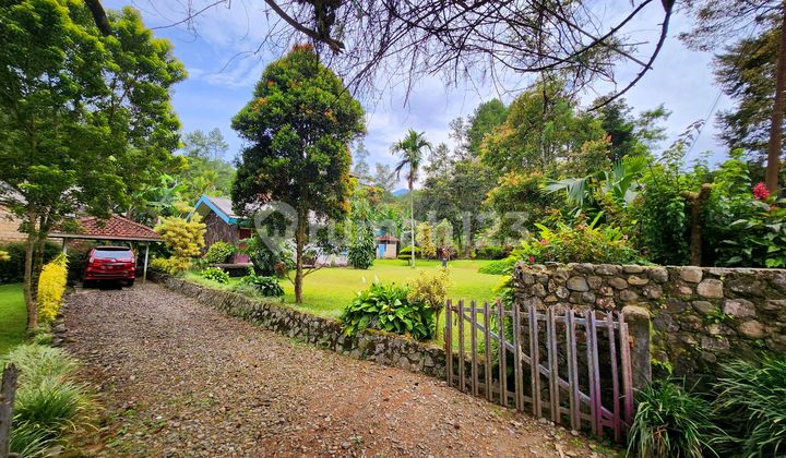 Tanah Kebun di Lokasi Strategis Cisarua Dekat Taman Safari Indonesia Tanah Kebun di Lokasi Strategis Cisarua Dekat Taman Safari Indonesia