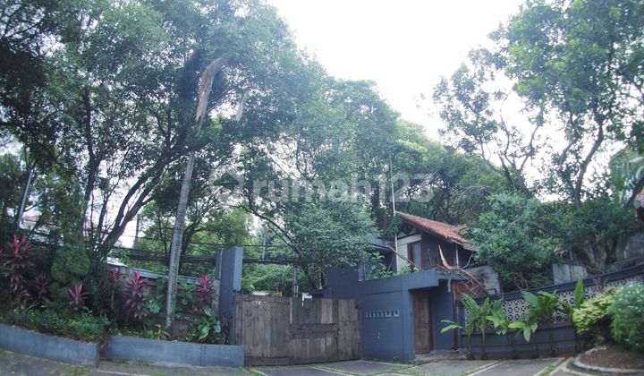 Rumah Luxury Mewah Konsep Resort Dijual Cepat, di Margasatwa Raya, Cilandak Jakarta Selatan 2