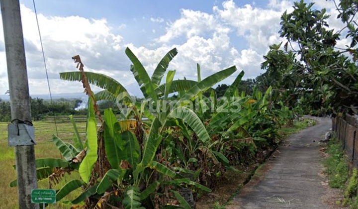 Tanah Dijual Dekat Pantai Kelating Tabanan Bali Tanah Dijual Dekat Pantai Kelating Tabanan Bali