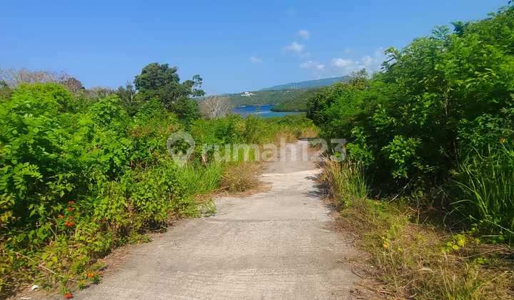 Exclusive Land At Nusa Penida With Affordable Price
