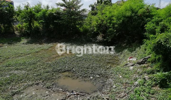 TANAH PREMIUM GATSU BARAT DENPASAR DKT MCD TANAH PREMIUM GATSU BARAT DENPASAR DKT MCD