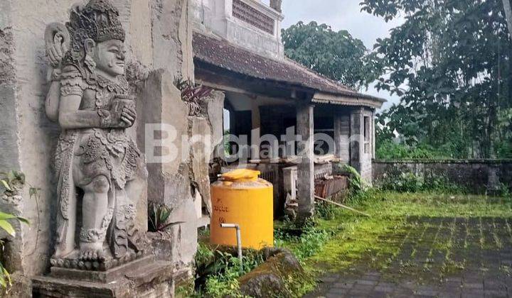 HOUSE AND LAND IN HOT WATER TOURISM AREA 1