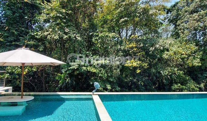 Big Villa With River, Jungle And Waterfall At Umalas So Beautiful Place