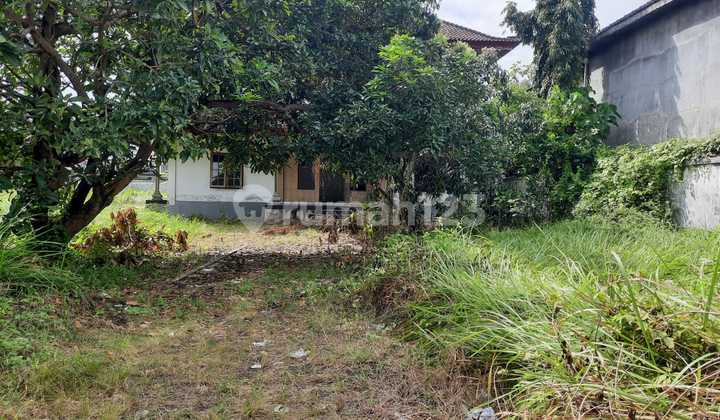 Land For Sale In Kerobokan, Free House And Swimming Pool Land For Sale In Kerobokan, Free House And Swimming Pool