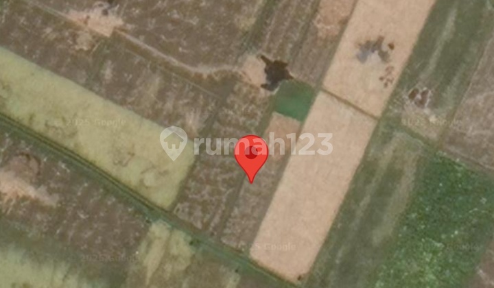 1000 M2 Land at Kelating Beach Area, Prime Location in Tourism Zone