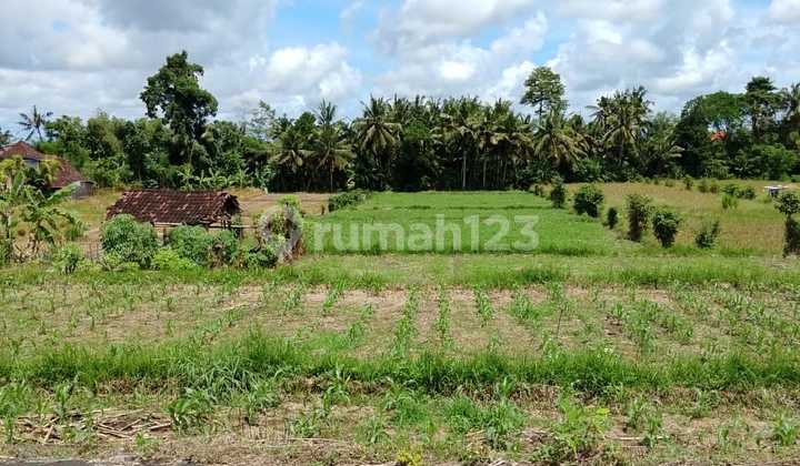 Tanah Kosong Angantaka Adem Tenteram Riverside
