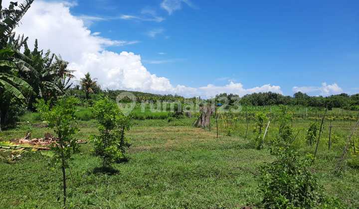 For Sale Land in Delodberawah, Mendoyo District, Jembrana