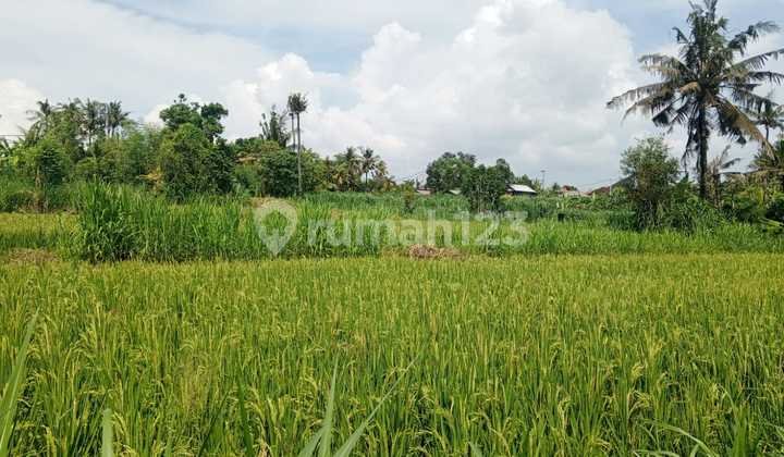 Tanah Kavling Global 6 Are Saba Blahbatuh Gianyar Bali Murah