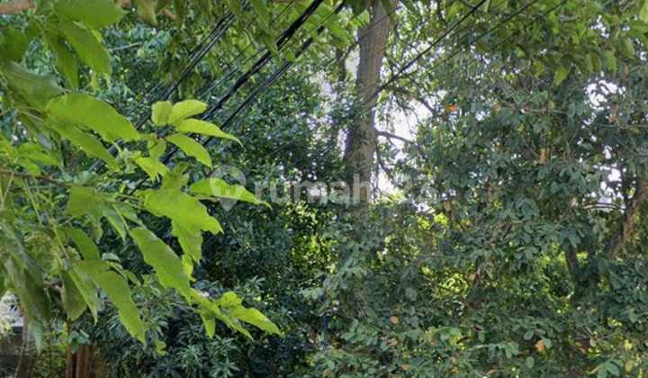 For Sale Land in a Super Strategic Location with High Investment Return in Legian, Kuta, Badung. For Sale Land in a Super Strategic Location with High Investment Return in Legian, Kuta, Badung.