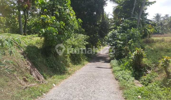 18 Are Land in Timpang, Kerambitan, Tabanan Near Tourist Attractions 18 Are Land in Timpang, Kerambitan, Tabanan Near Tourist Attractions