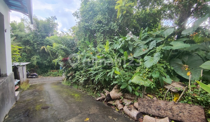 2 Are of land in Central Ubud, suitable for building a villa. 2 Are of land in Central Ubud, suitable for building a villa.
