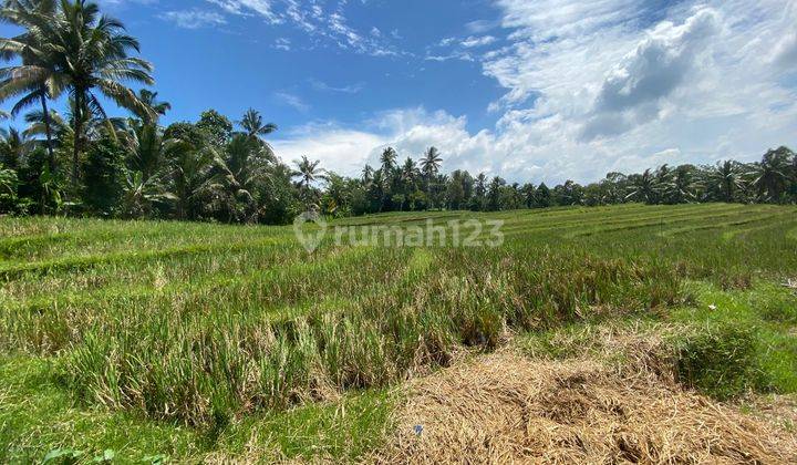 Tanah 52 Are di Wanagiri Kauh Selemadeg Tabanan Lingkungan Asri 1