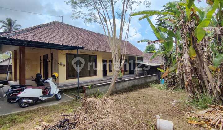 RUMAH 2 KAMAR DI ATAS TANAH LUAS 400M2 DI KELUSA PAYANGAN RUMAH 2 KAMAR DI ATAS TANAH LUAS 400M2 DI KELUSA PAYANGAN