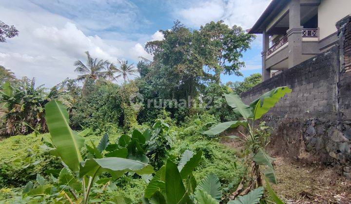 LAND FOR LEASE IN TUMBAK BAYUH PERFECT FOR VILLA OR GUESTHOUSE 2