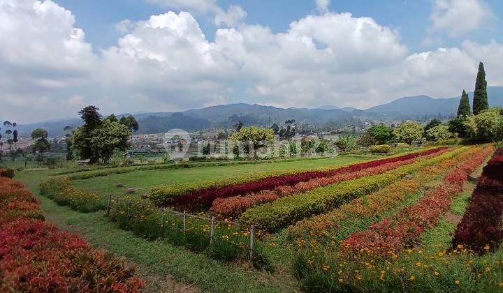 Tanah Ruang Usaha Wisata Mainroad Ciwidey 