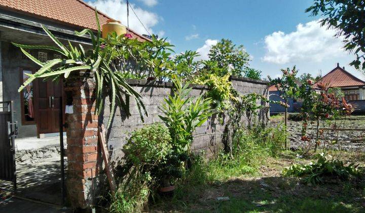 FOR SALE SEMI COMPLEX HOUSE FOR SALE RICE VIEW AND SUN RISE / BU 2